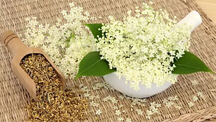 Herba para o tratamento da artrose
